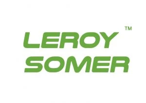 Leroy Somer AVR in Nepal